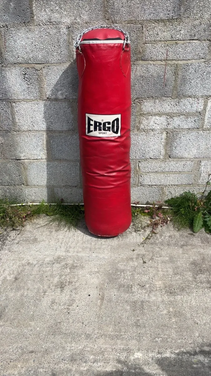 ERGO SPORT PUNCH BAG