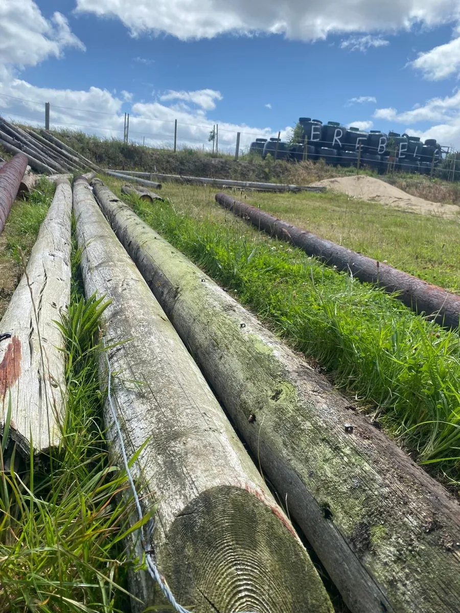 Telegraph Poles - Image 2