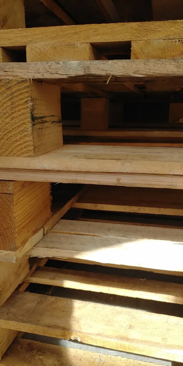 Wooden Pallets today for free - Image 2