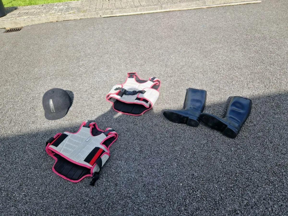 Horse riding accessories - Image 4