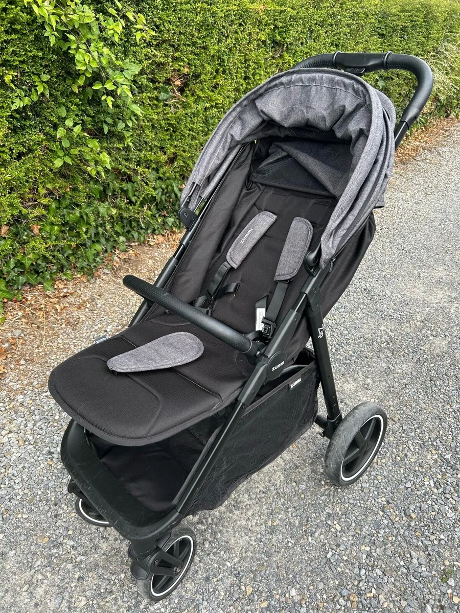 Zummi Zip - Image 1