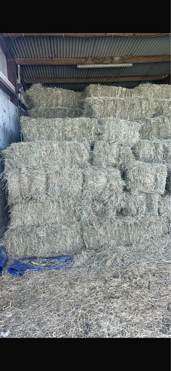 Square bales hay