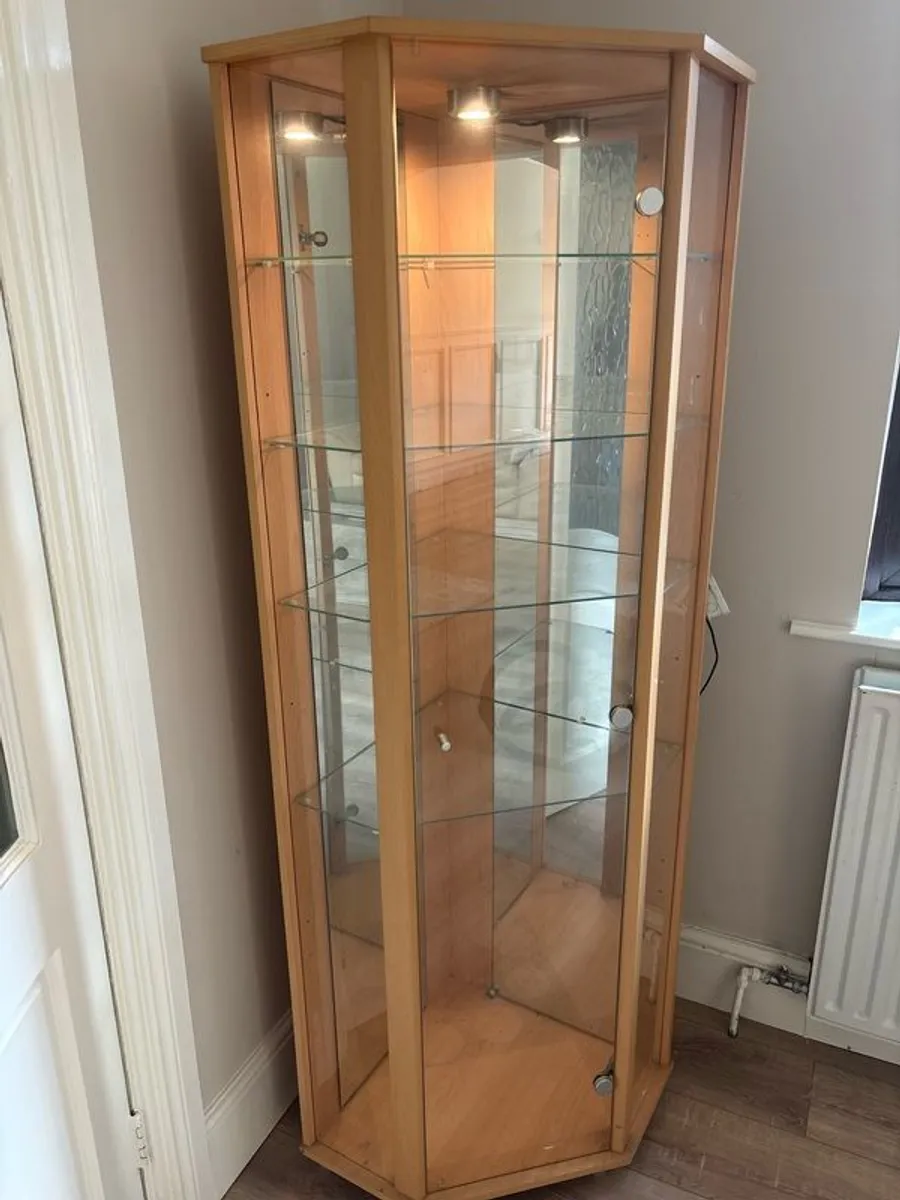 Glass Cabinet Built In Lighting (Corner Fit) - Image 1