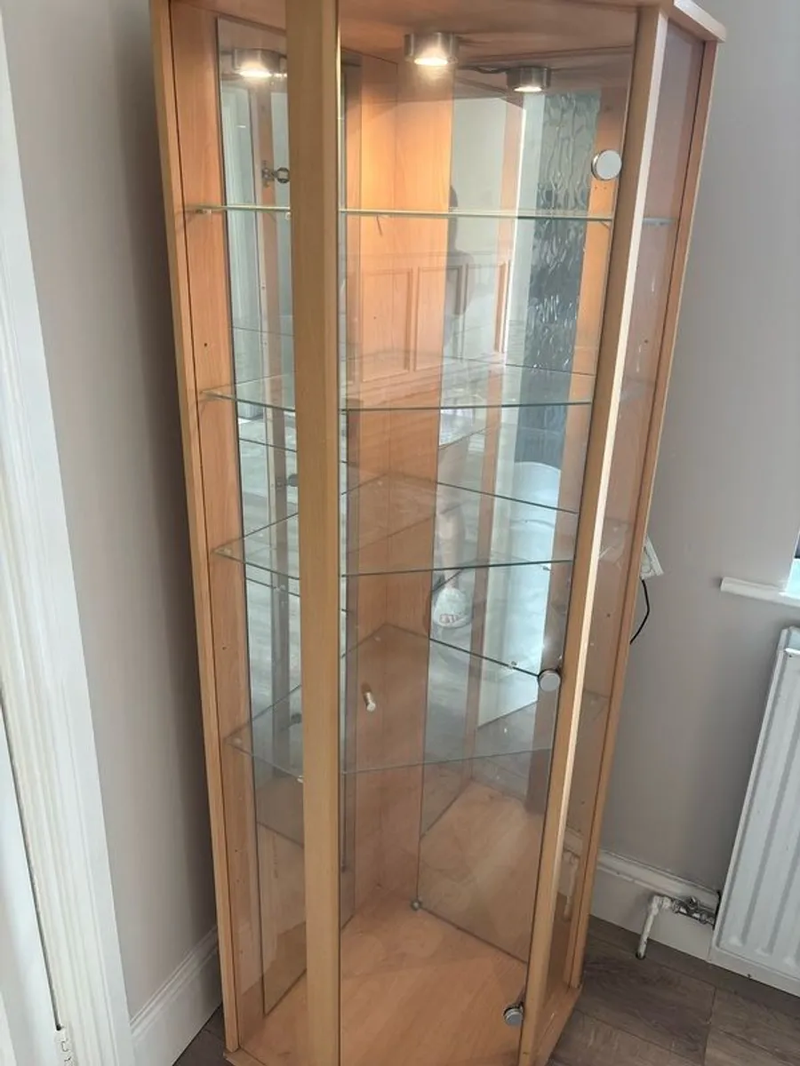 Glass Cabinet Built In Lighting (Corner Fit) - Image 2