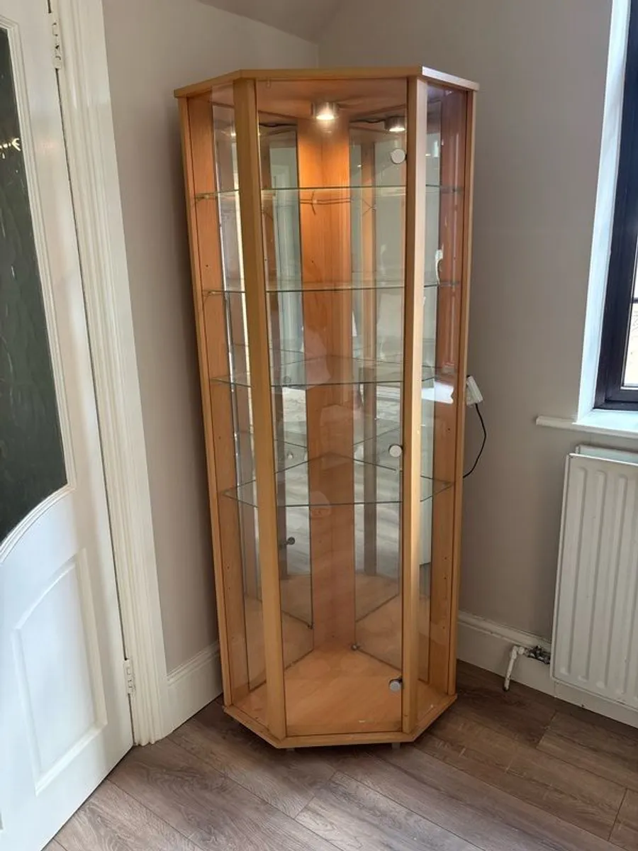 Glass Cabinet Built In Lighting (Corner Fit) - Image 3
