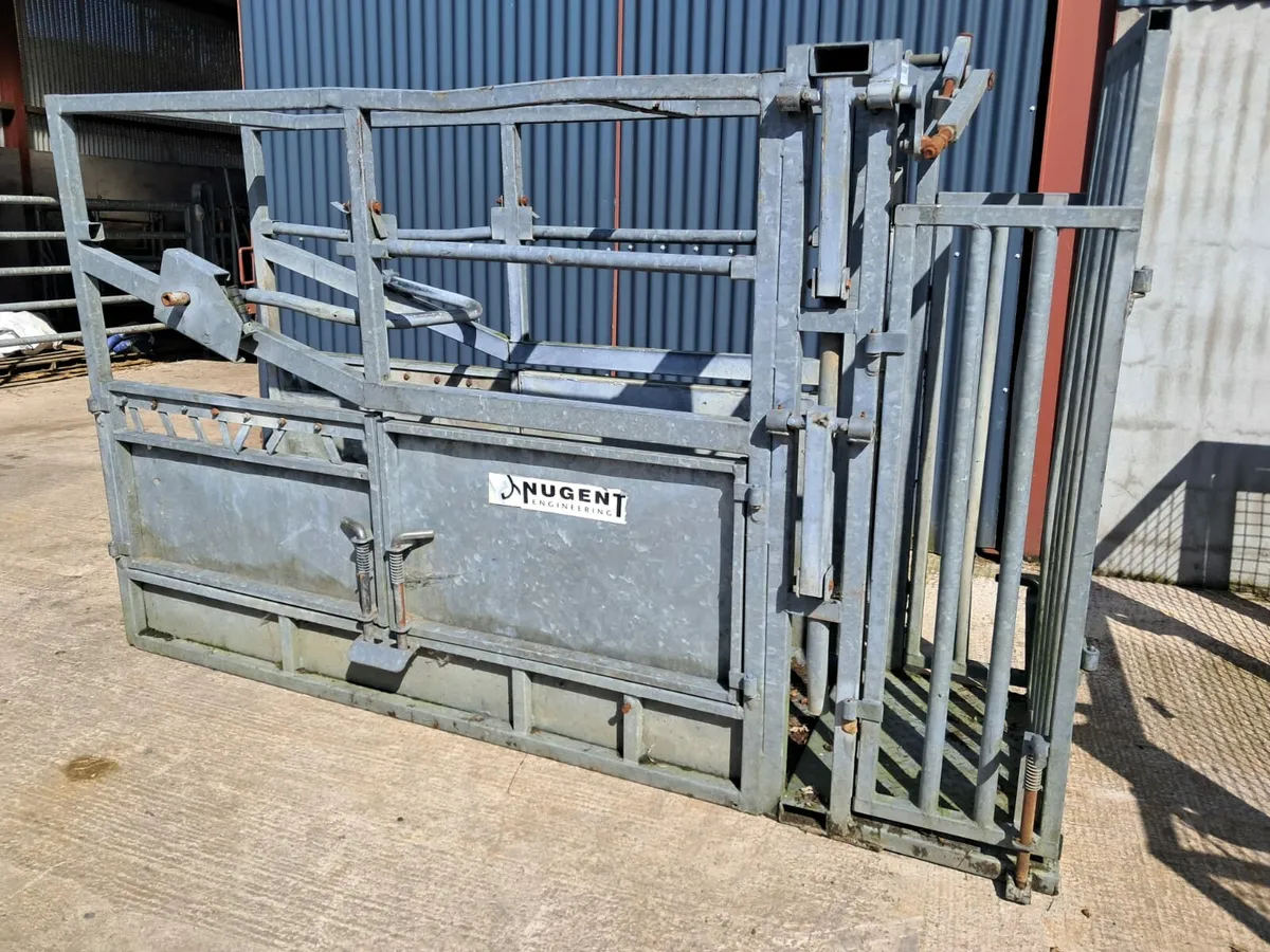Portable cattle crush - Image 1