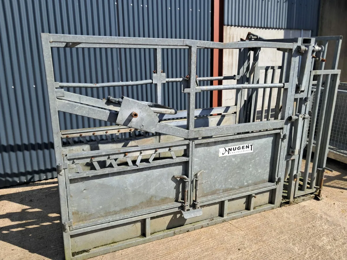Portable cattle crush - Image 2
