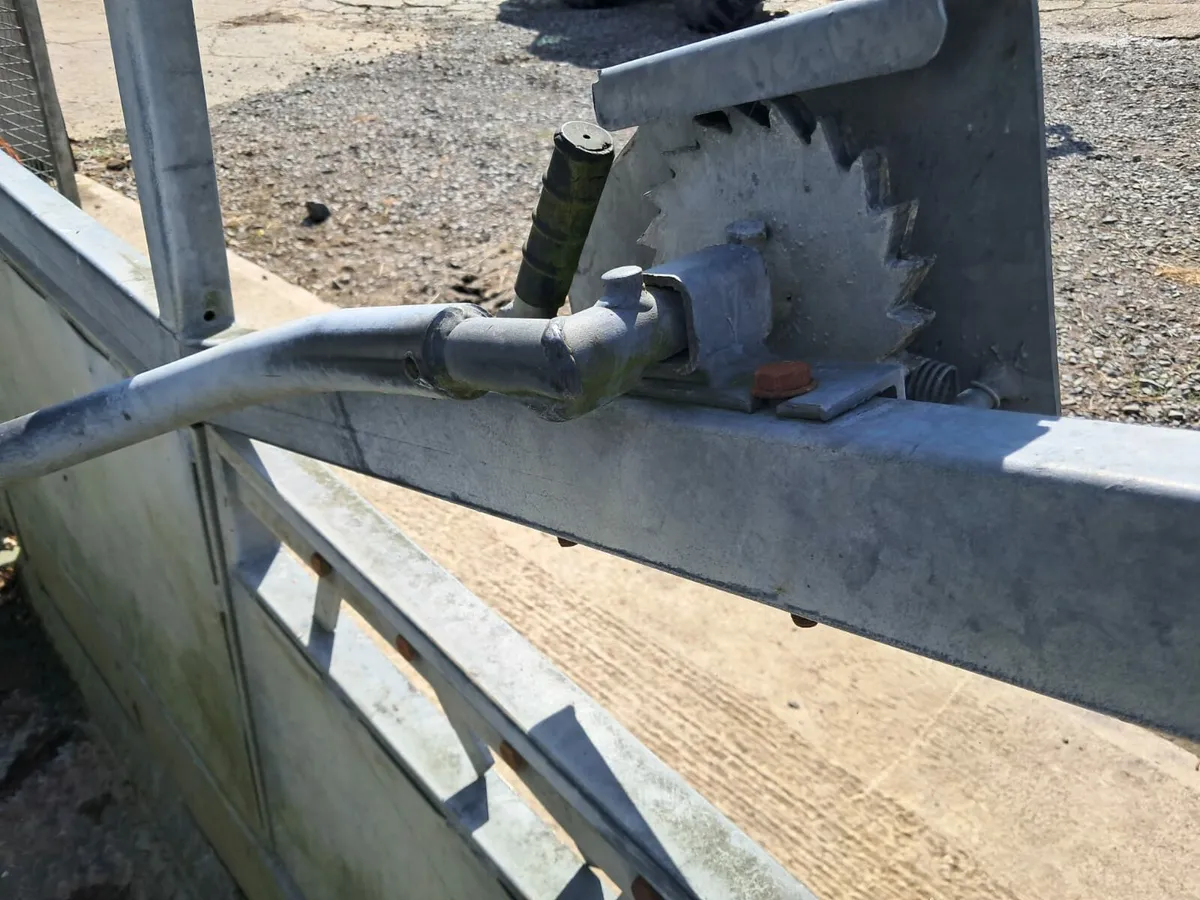 Portable cattle crush - Image 3