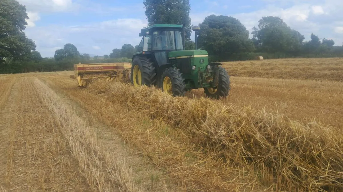 Straw - Image 1