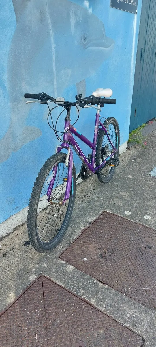 Purple bicycle - Image 2