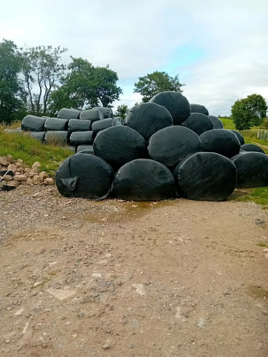 Bales
