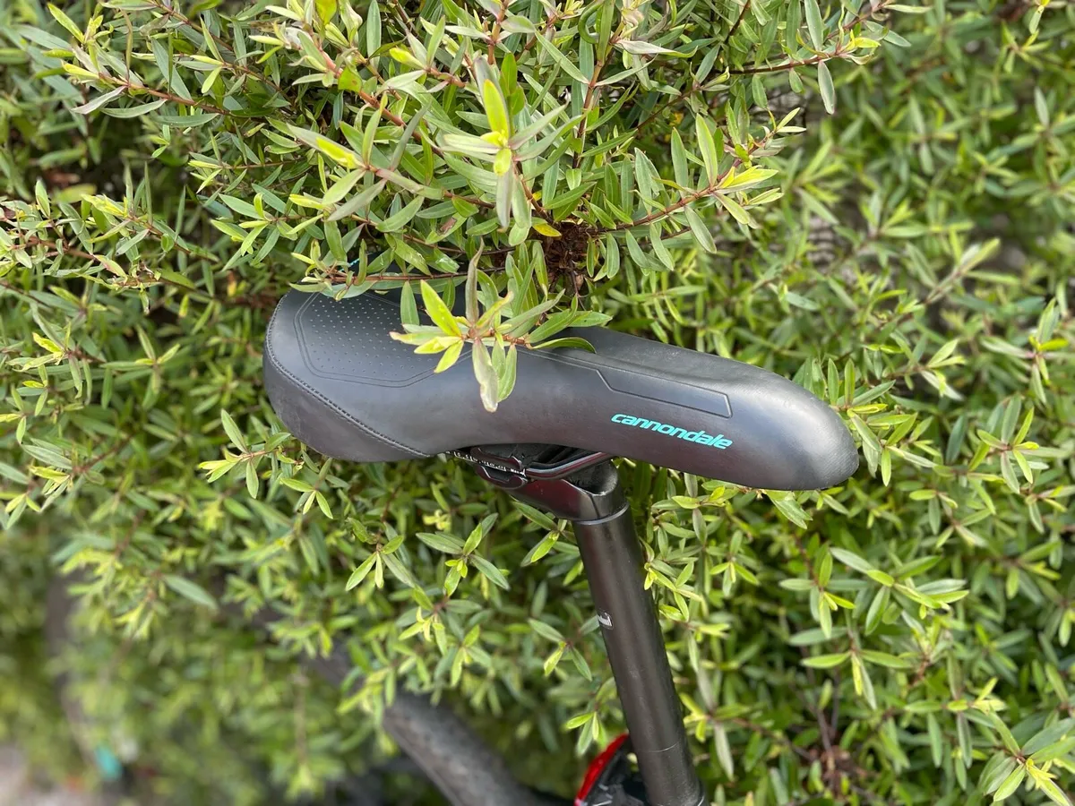 Cannondale Althea Disc 28” wheels  €280* as new - Image 4