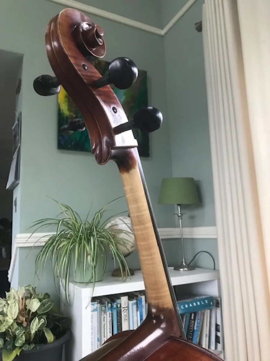Strad design, hand carved masterbuilt Cello + Case - Image 3