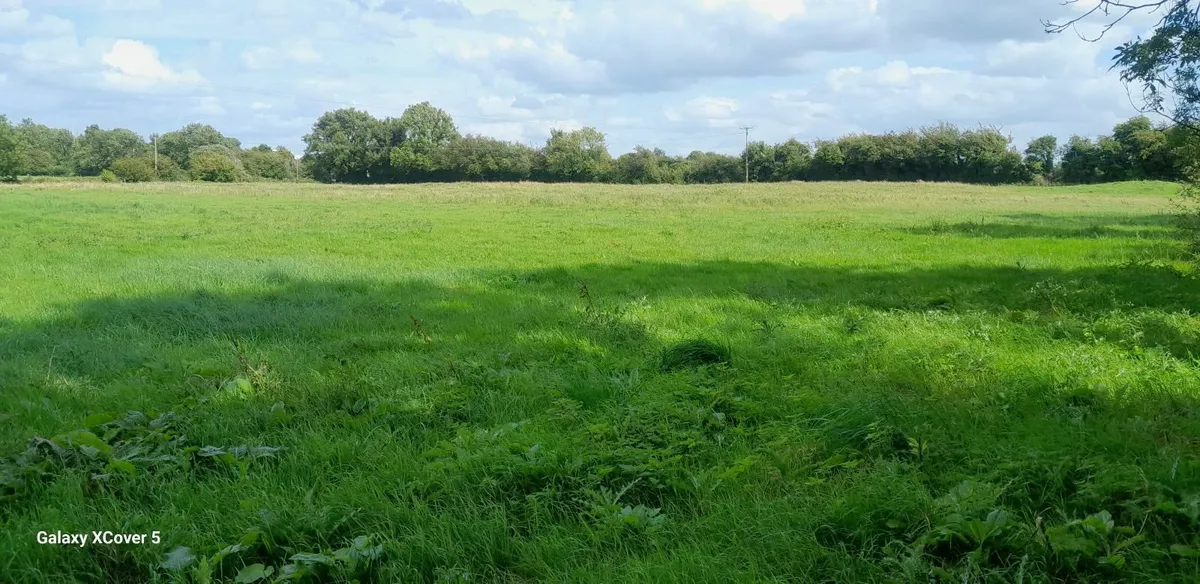 Meadow - Image 2