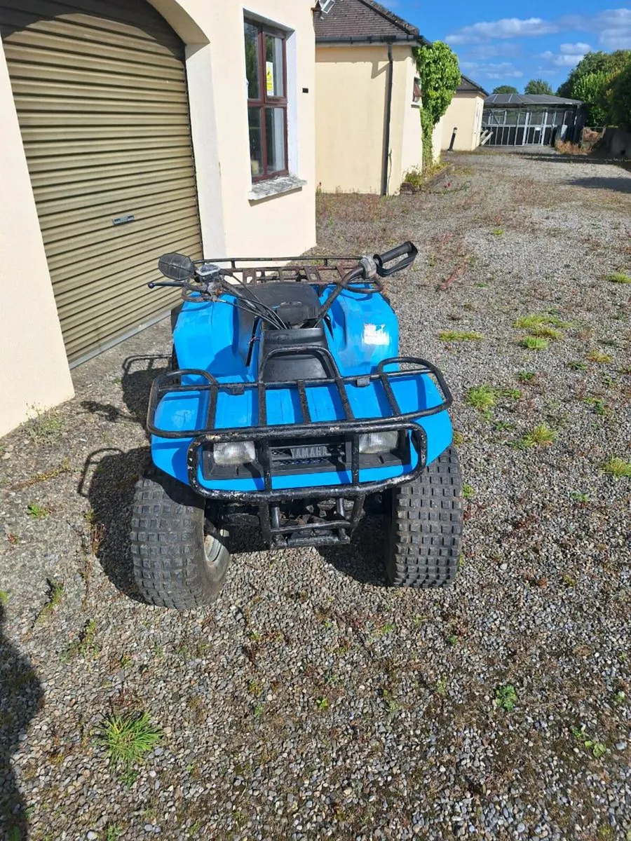 Quad - Image 1