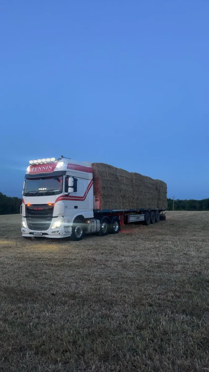 Hay and straw - Image 4