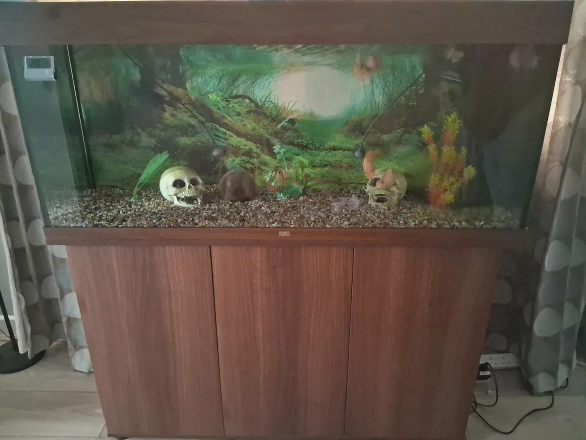 Fish tank - Image 1