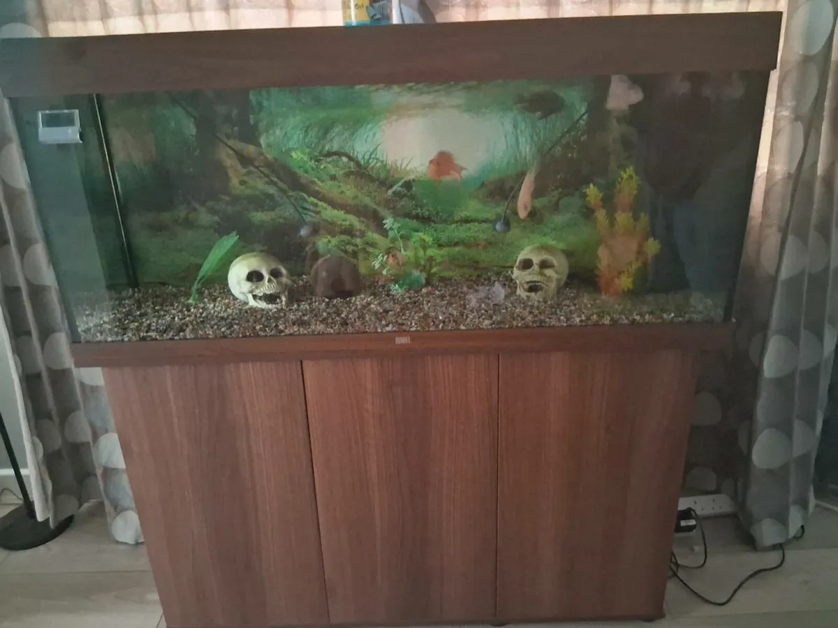 Fish tank - Image 2
