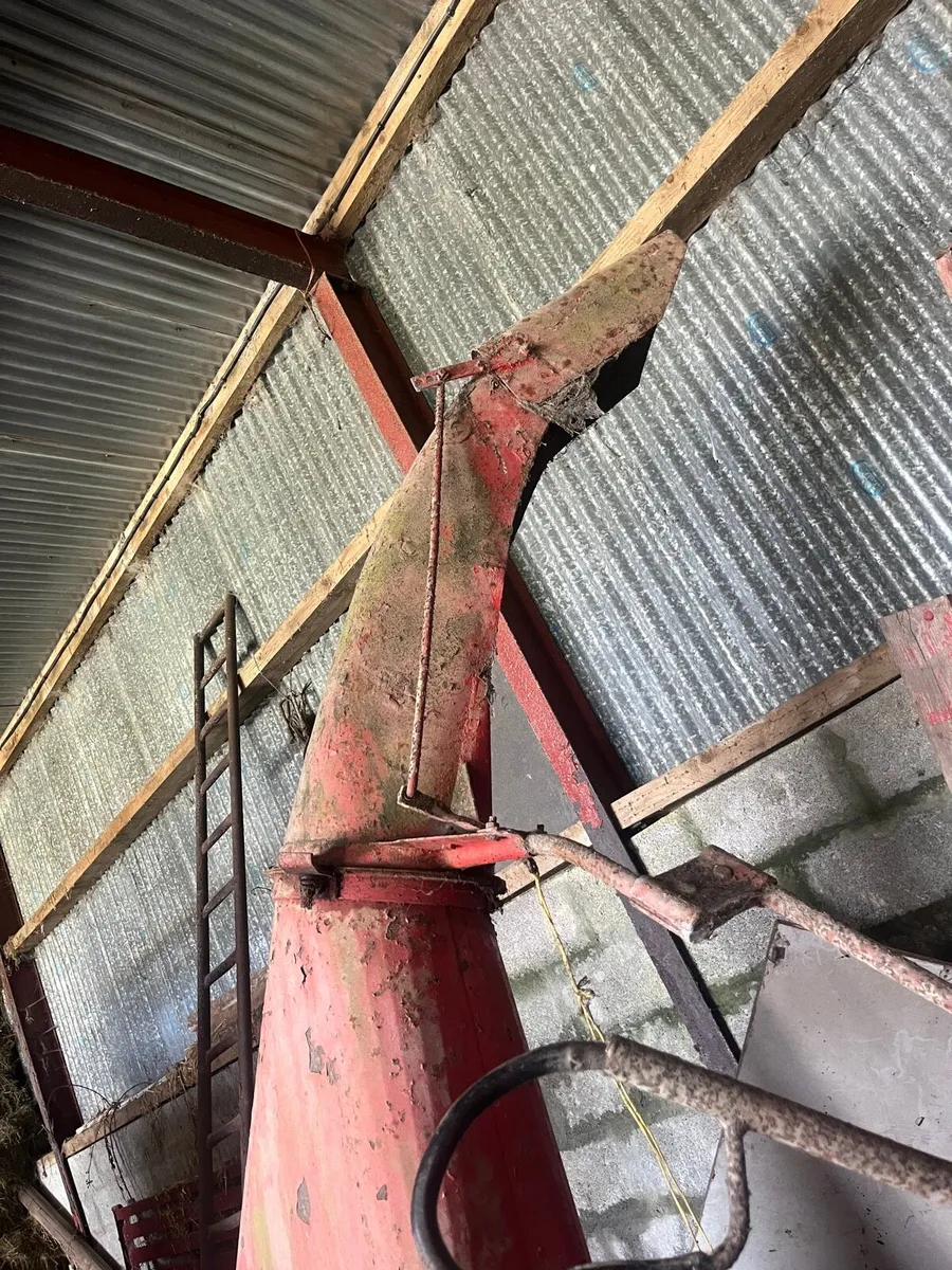 Jf Single chop Harvester - Image 3