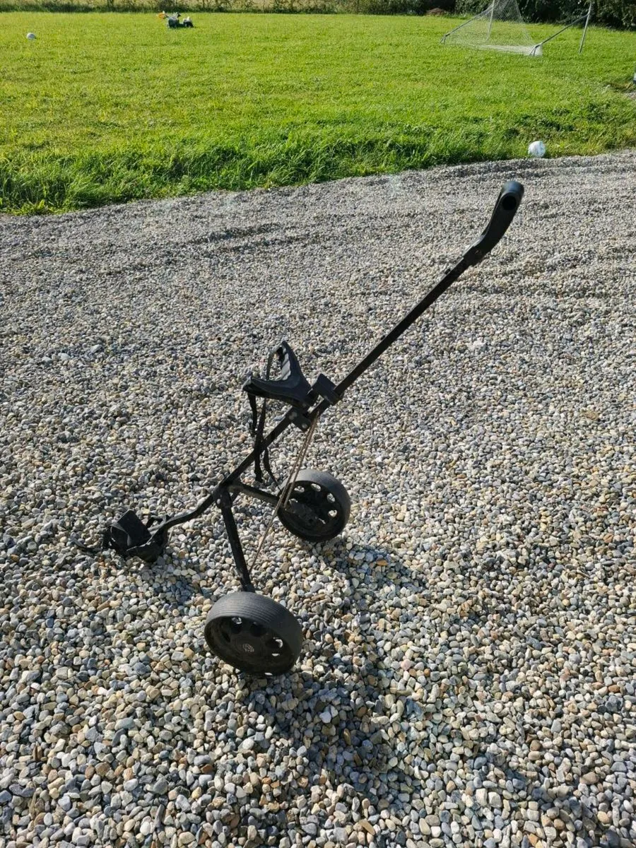 Golf buggy - Image 1