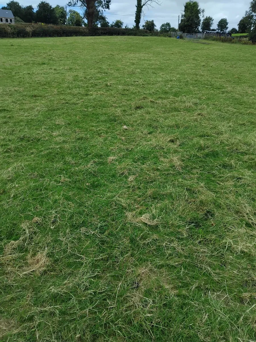 Site for sale - Image 1