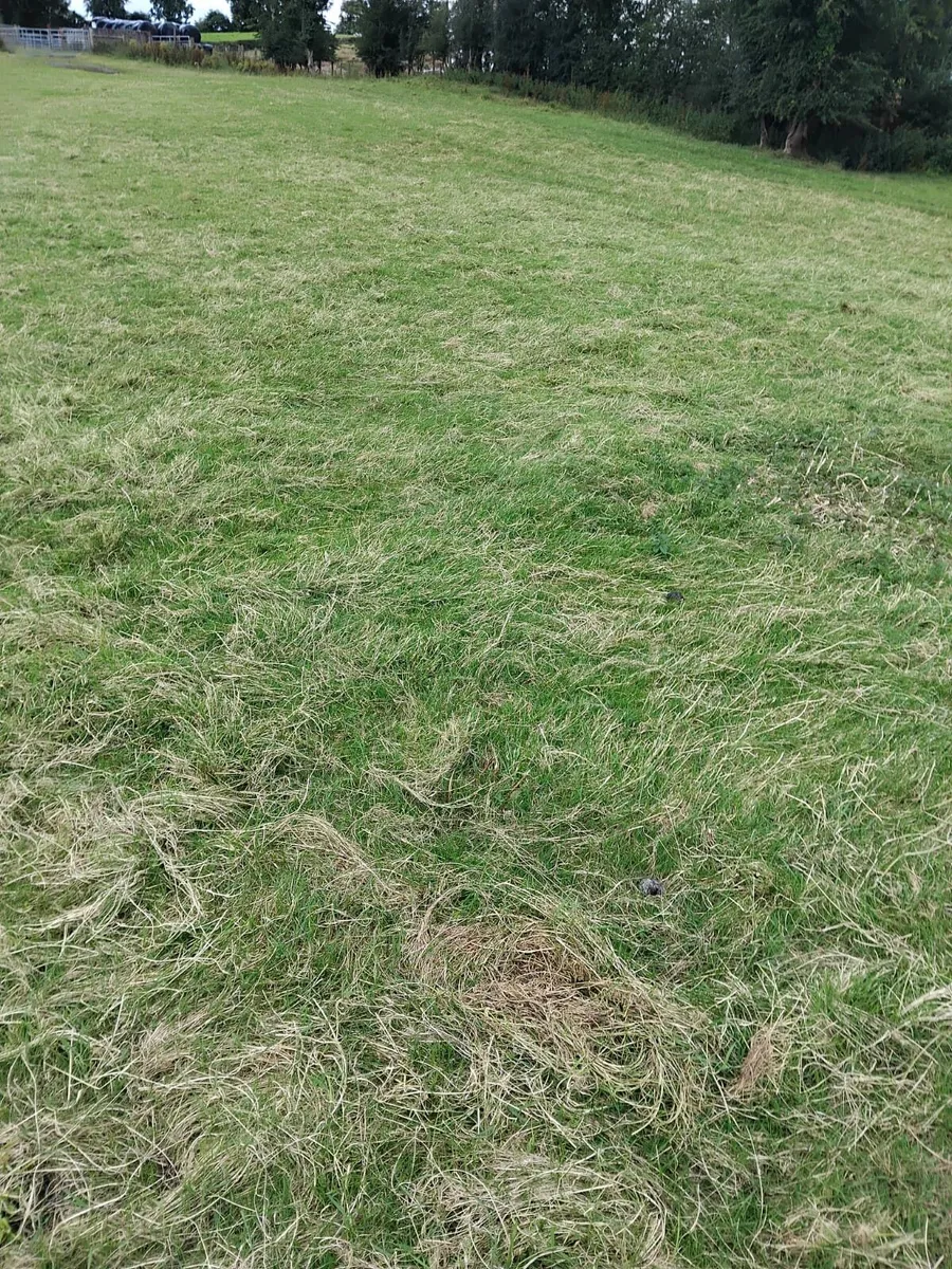 Site for sale - Image 2