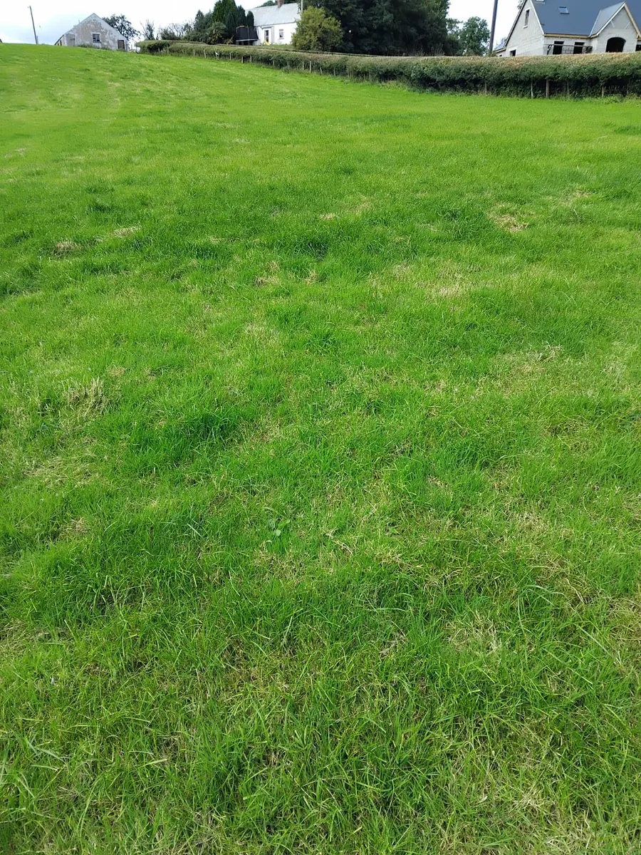 Site for sale - Image 3