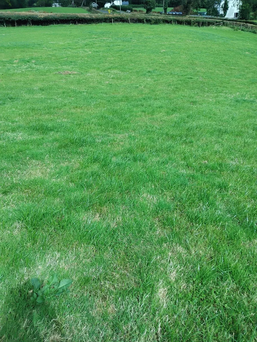 Site for sale - Image 4