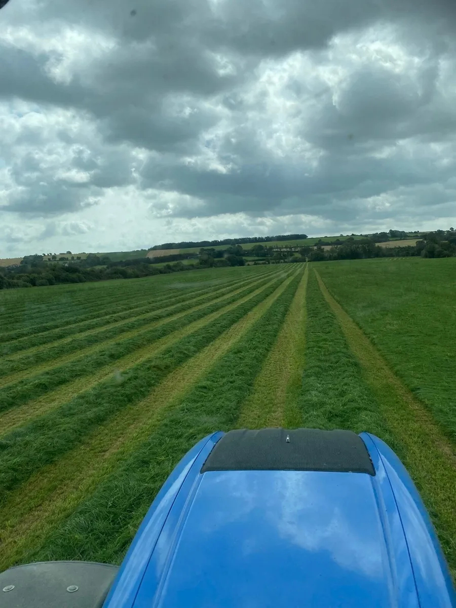 First cut silage - Image 1