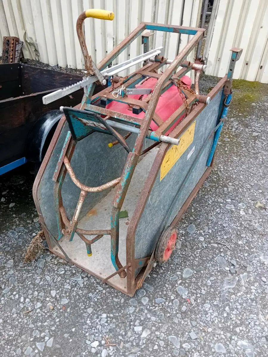 Sheep Turnover Crate and Lamb Weighbridge - Image 1