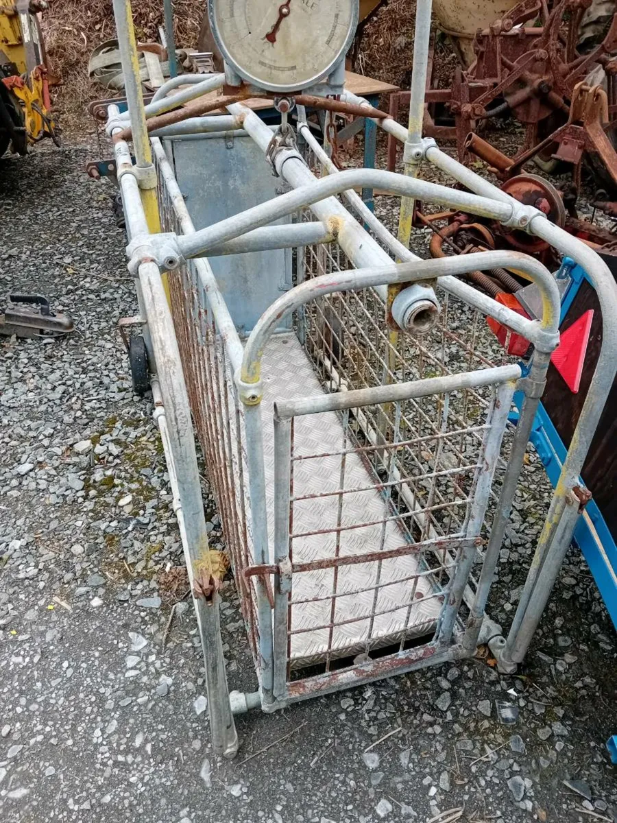 Sheep Turnover Crate and Lamb Weighbridge - Image 2