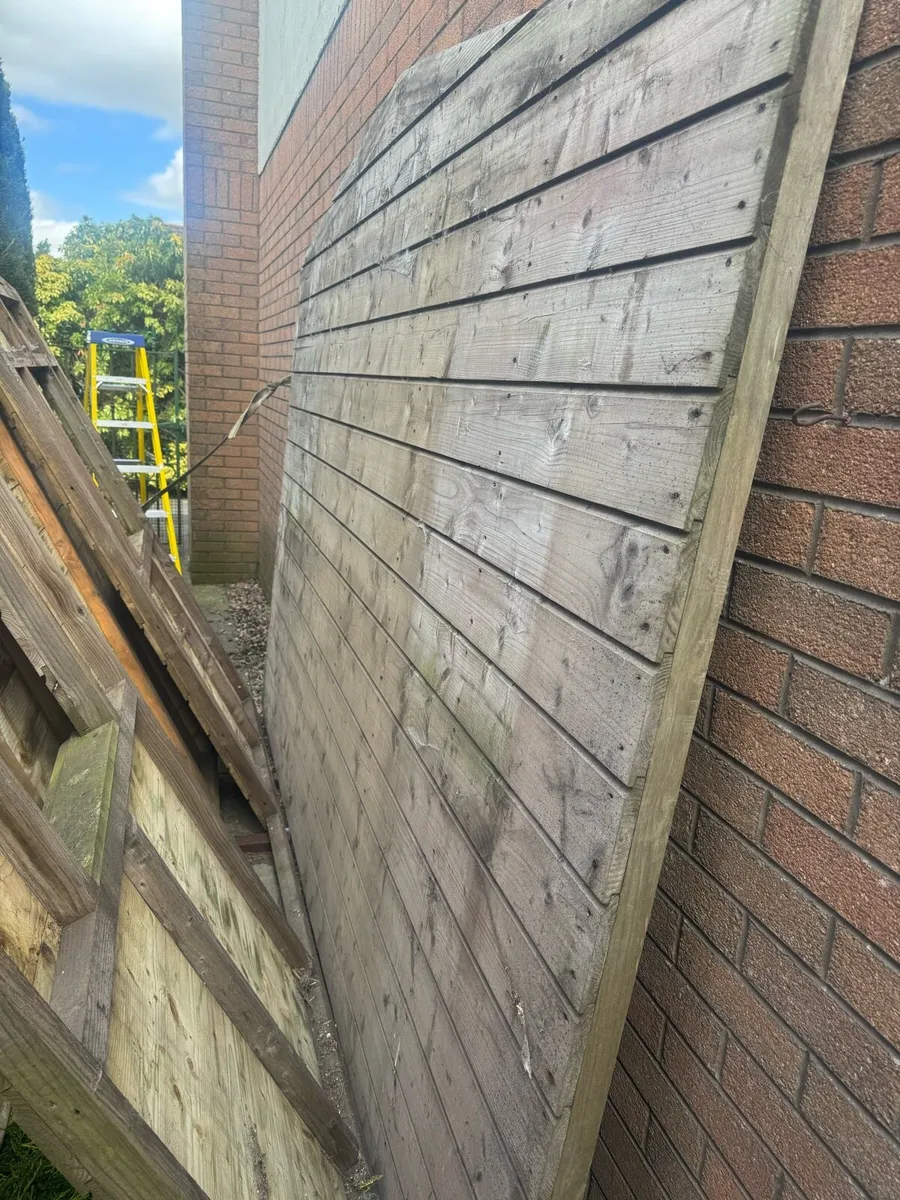 Project garden shed - Image 3