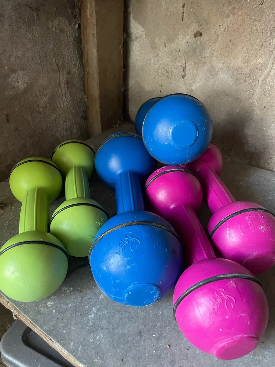 Weights - Image 1