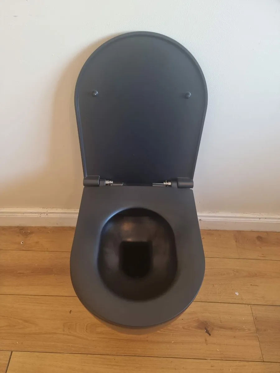 New Toilet pan - Image 3