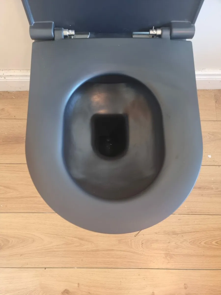 New Toilet pan - Image 4