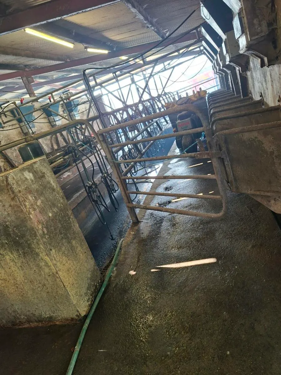 Milking parlor - Image 1