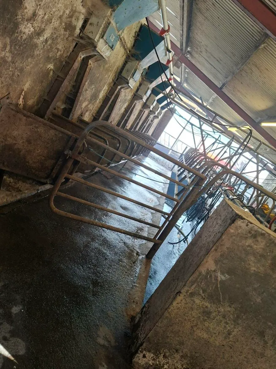 Milking parlor - Image 2
