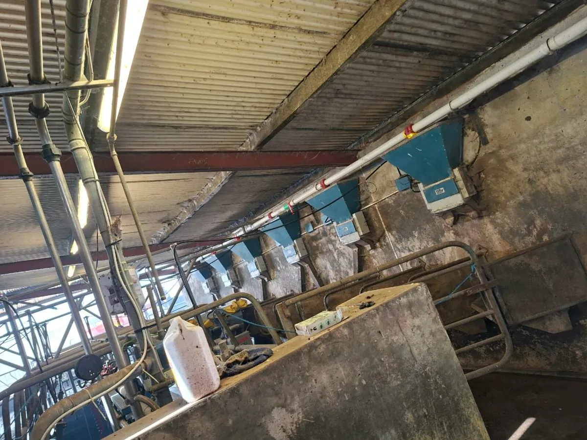 Milking parlor - Image 4