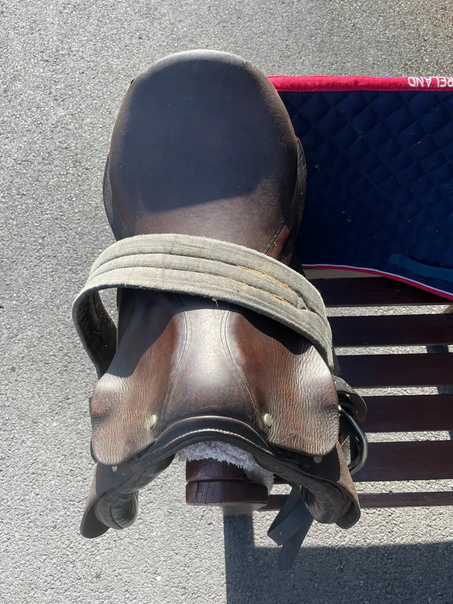 Berney 15.5" Saddle - Image 2