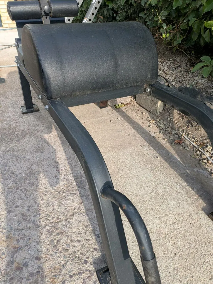 Glute hamstring raise - Image 2