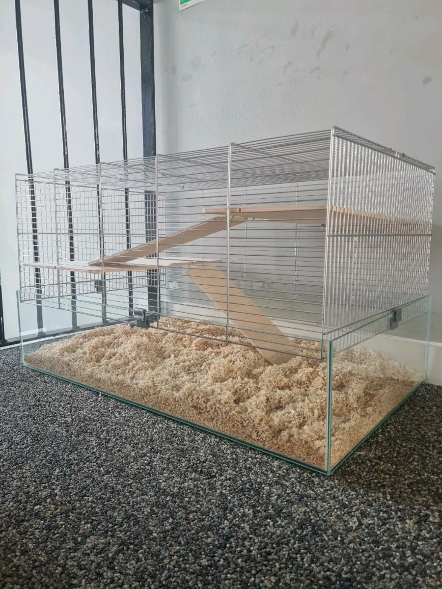 Cage - Image 1