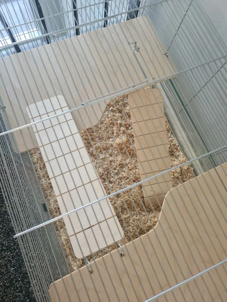 Cage - Image 2