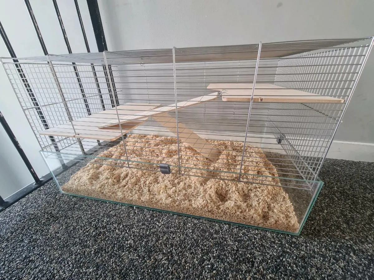 Cage - Image 3