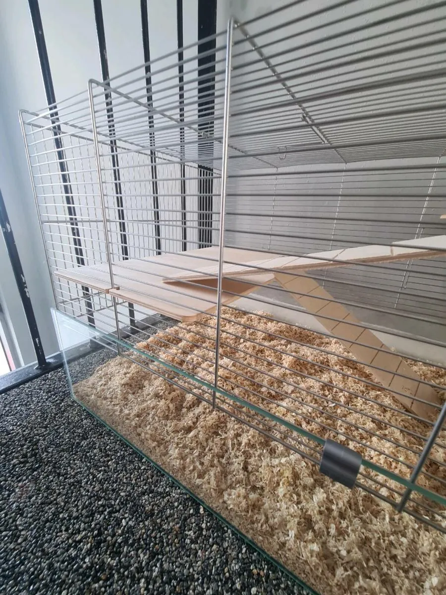 Cage - Image 4