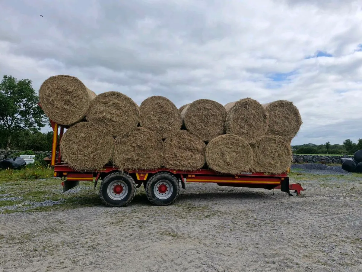 Hay - Image 1