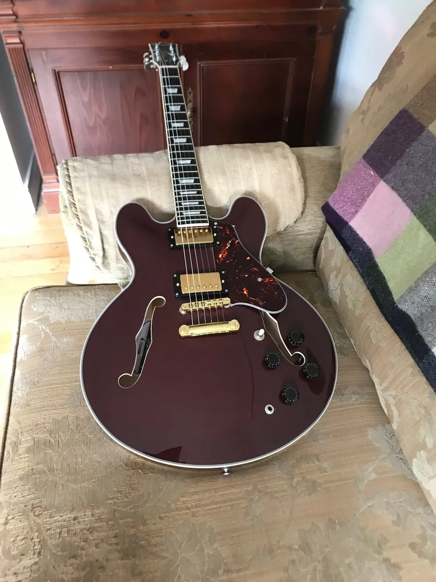 335 style guitar - Image 1