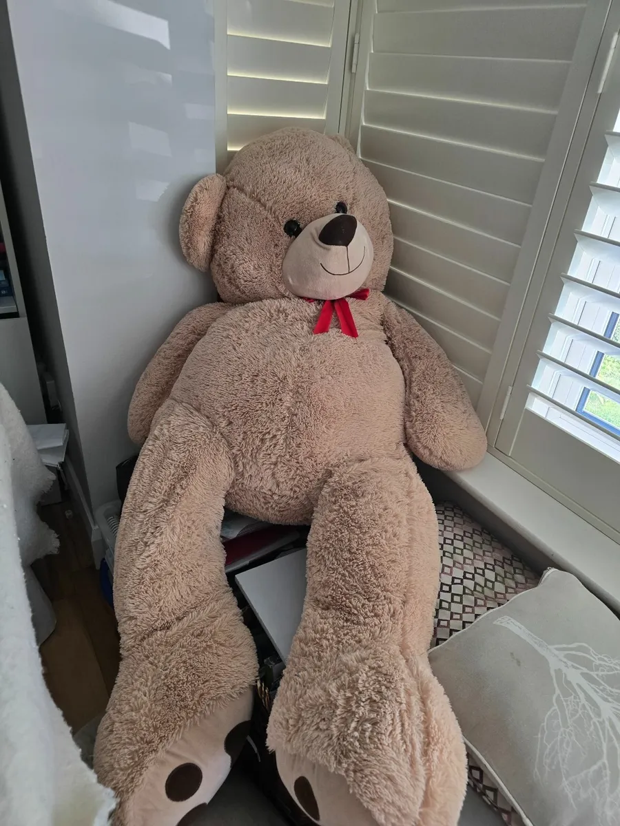 Large Teddy