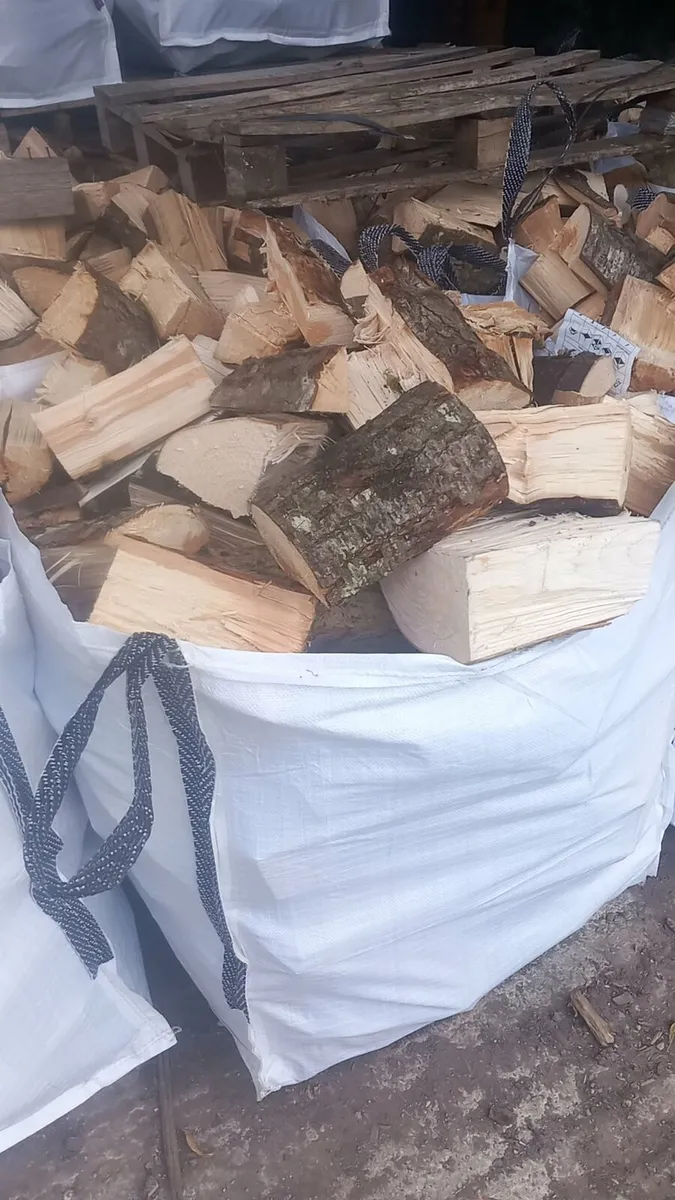 Firewood for sale - Image 3