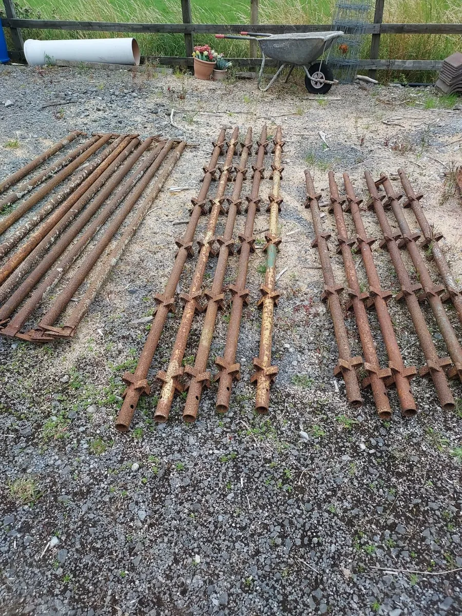 Scaffolding - Image 3