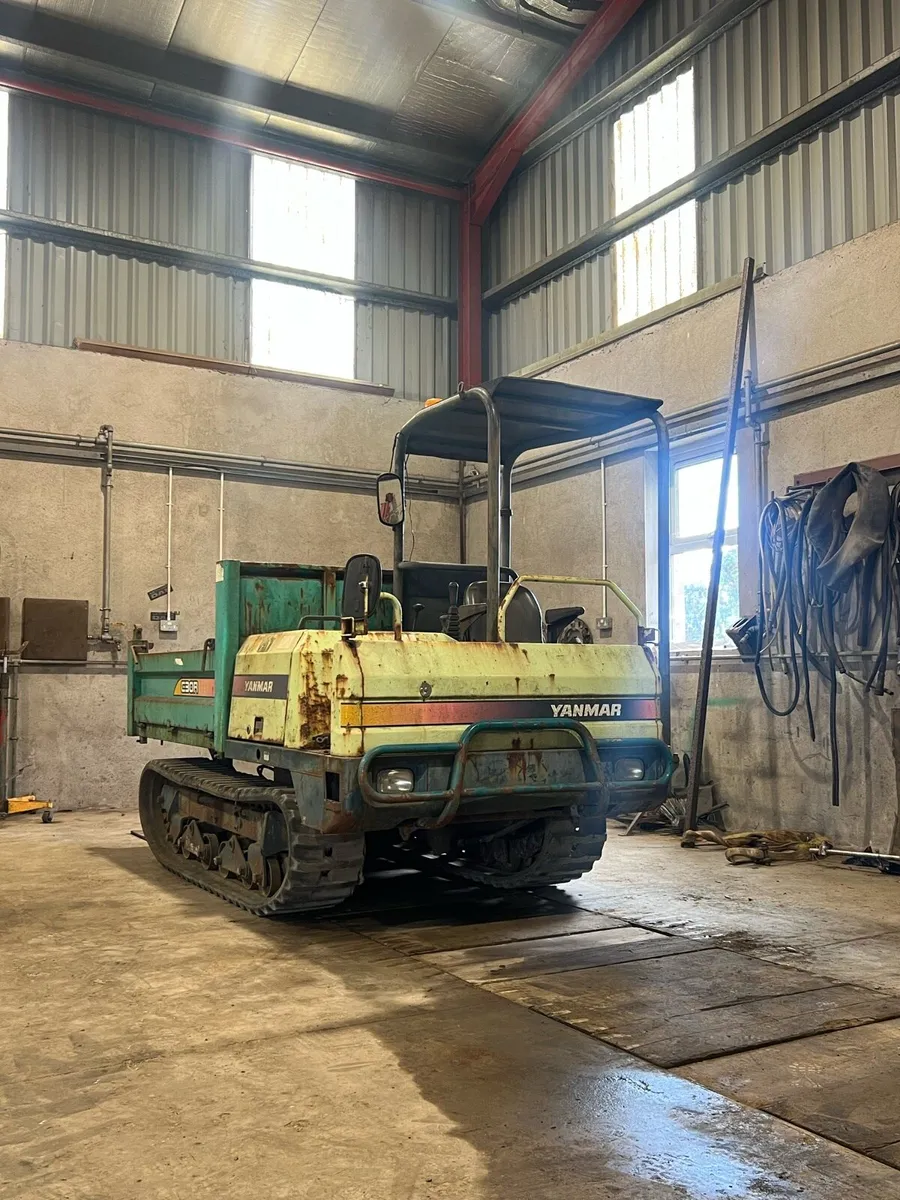Track dumper - Image 1